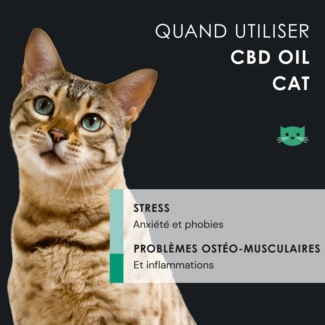 EU4CAT - Huile calmante naturelle pour chats riche en vitamines - 10 ml