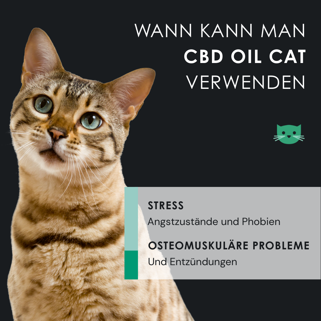 EU4CAT - Natürliches Beruhigungsöl für Katzen, reich an Vitaminen - 10 ml