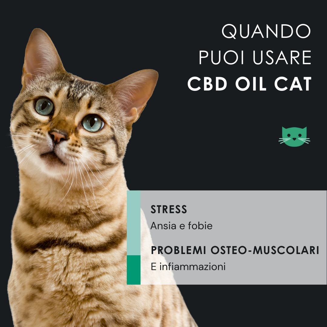 EU4CAT - Olio calmante naturale per gatti