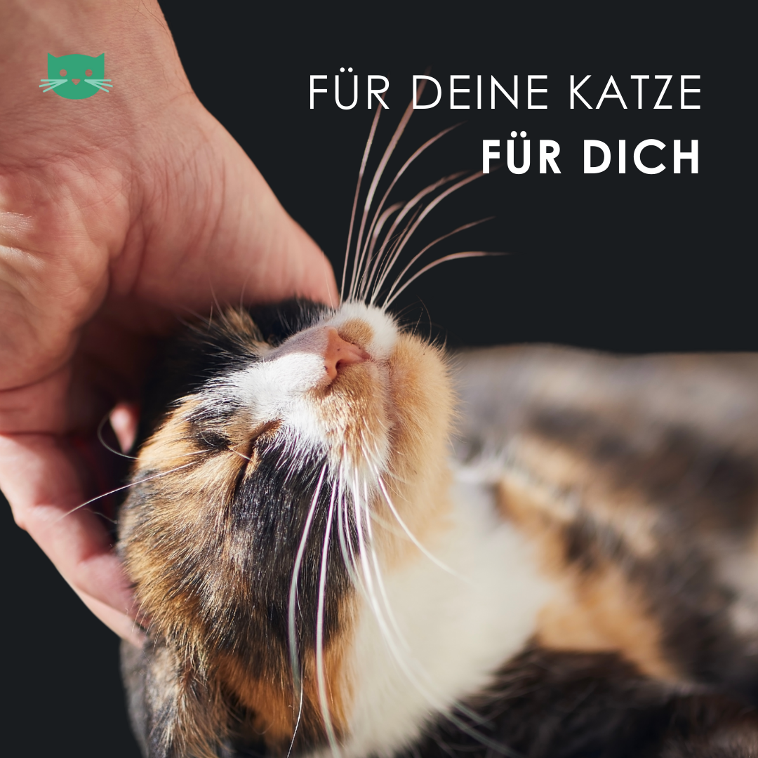 EU4CAT - Natürliches Beruhigungsöl für Katzen, reich an Vitaminen - 10 ml