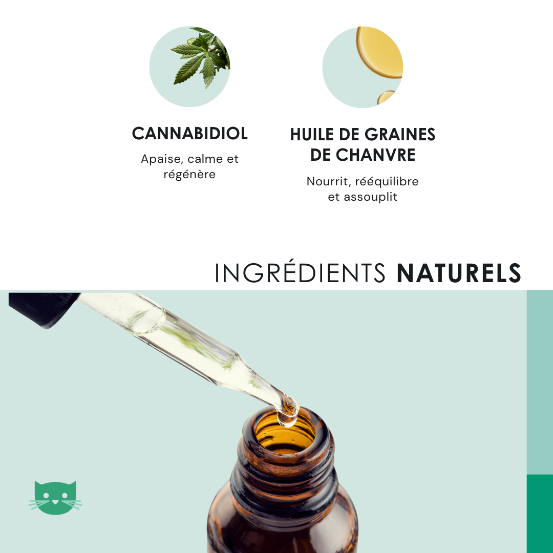 EU4CAT - Huile calmante naturelle pour chats riche en vitamines - 10 ml