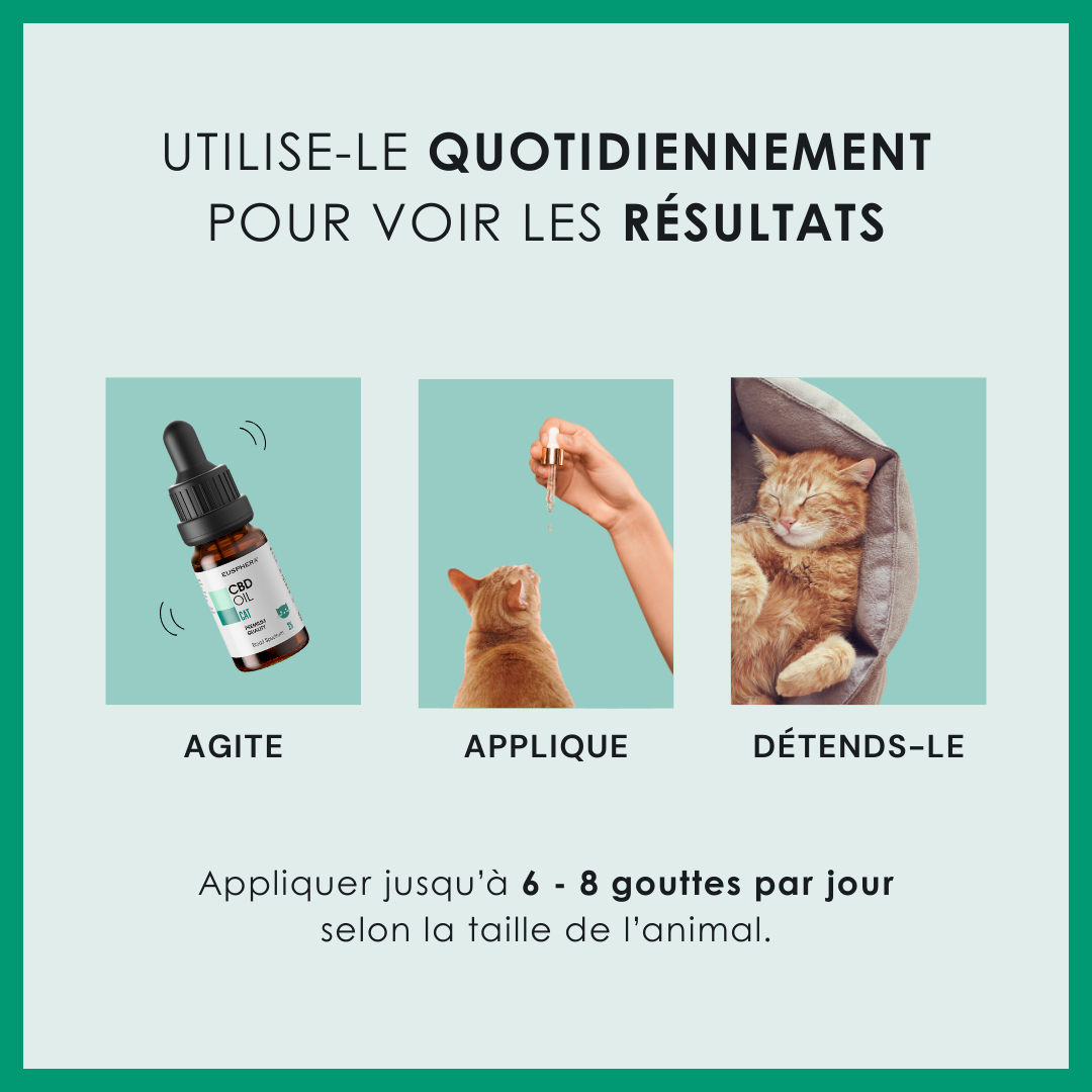 EU4CAT - Huile calmante naturelle pour chats riche en vitamines - 10 ml