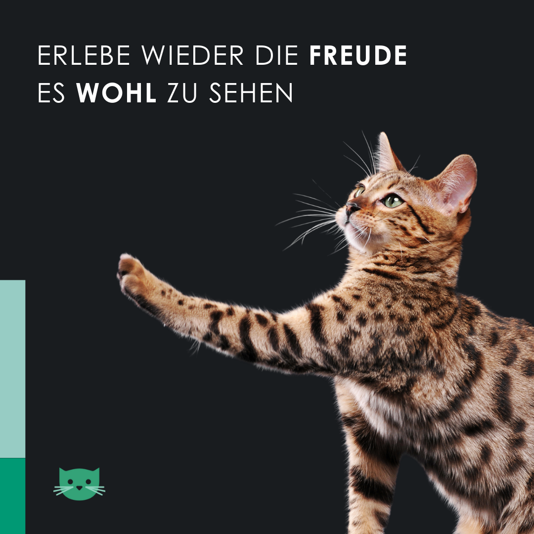 EU4CAT - Natürliches Beruhigungsöl für Katzen, reich an Vitaminen - 10 ml