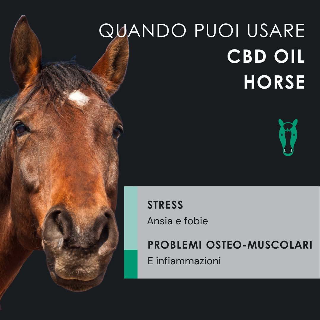 EU4HORSE - Olio Nutriente per Cavalli