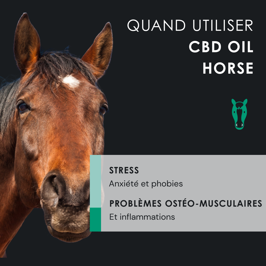 EU4HORSE - Huile Nourrissante pour Chevaux Riche en Vitamines pour le Bien-être et la Vitalité - 50 ml