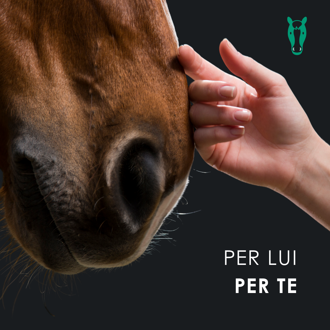 EU4HORSE - Olio Nutriente per Cavalli