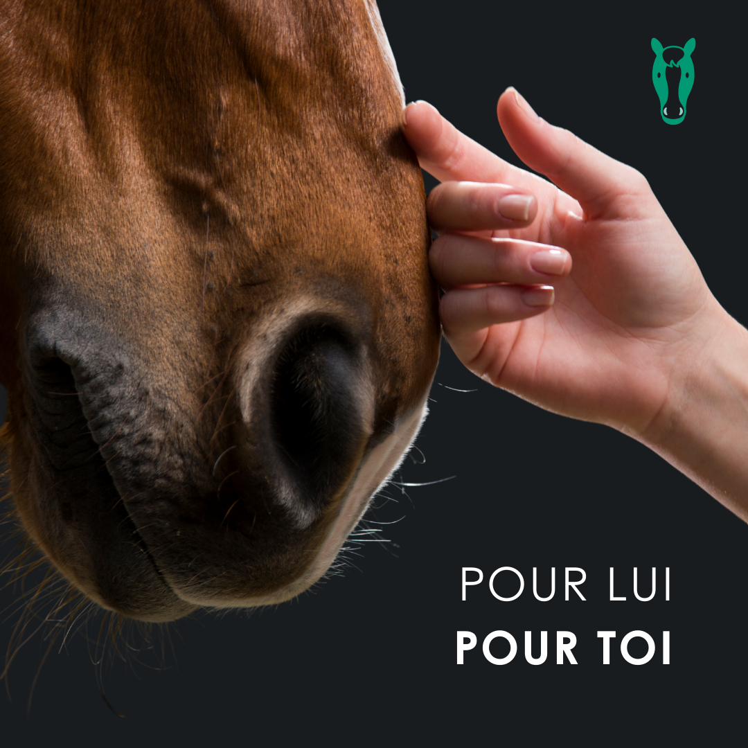 EU4HORSE - Huile Nourrissante pour Chevaux Riche en Vitamines pour le Bien-être et la Vitalité - 50 ml
