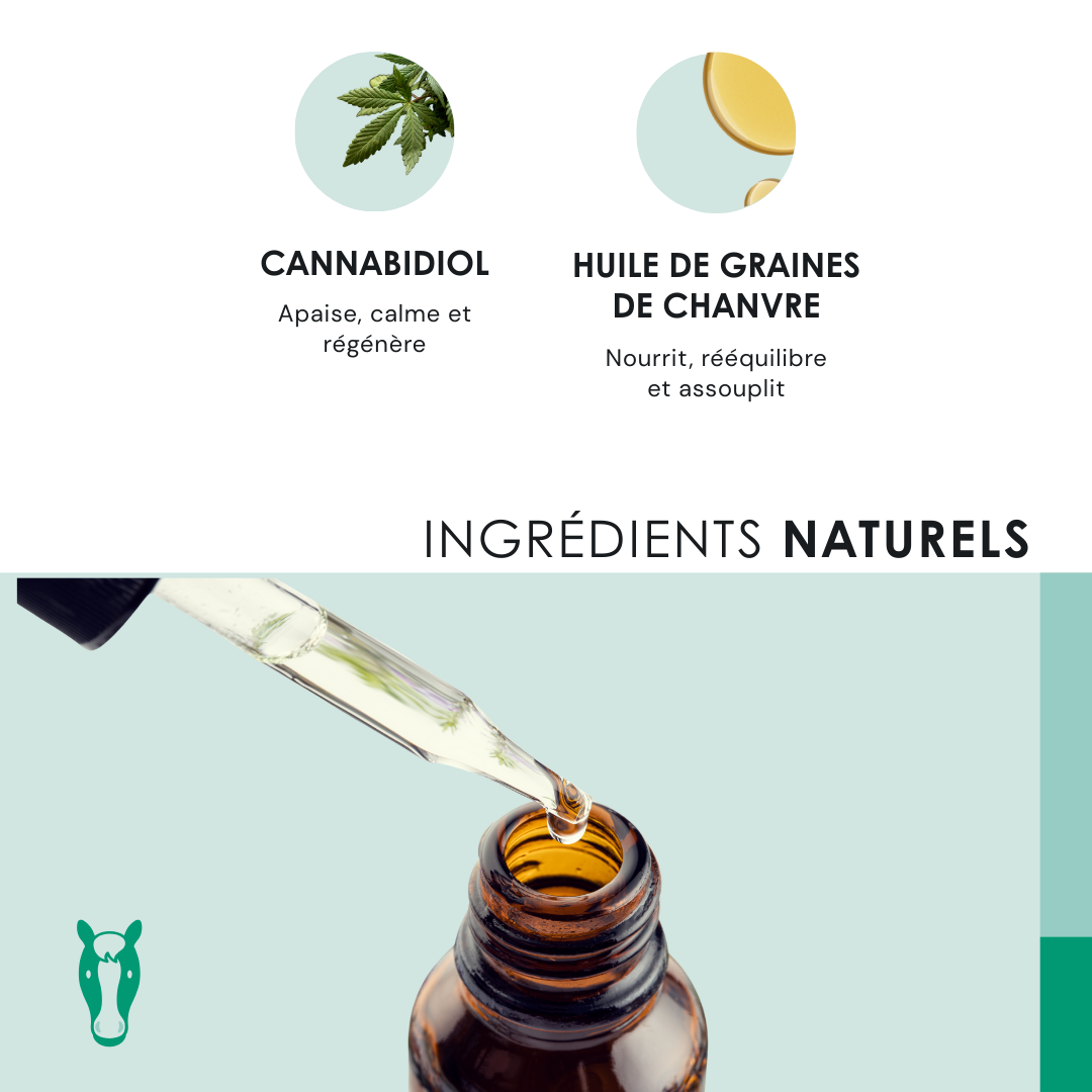 EU4HORSE - Huile Nourrissante pour Chevaux Riche en Vitamines pour le Bien-être et la Vitalité - 50 ml
