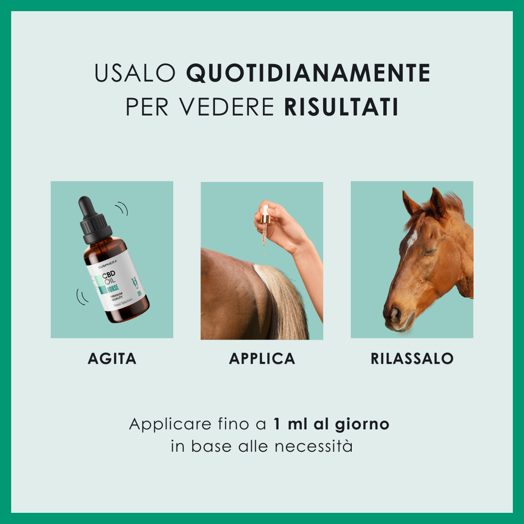 EU4HORSE - Olio Nutriente per Cavalli
