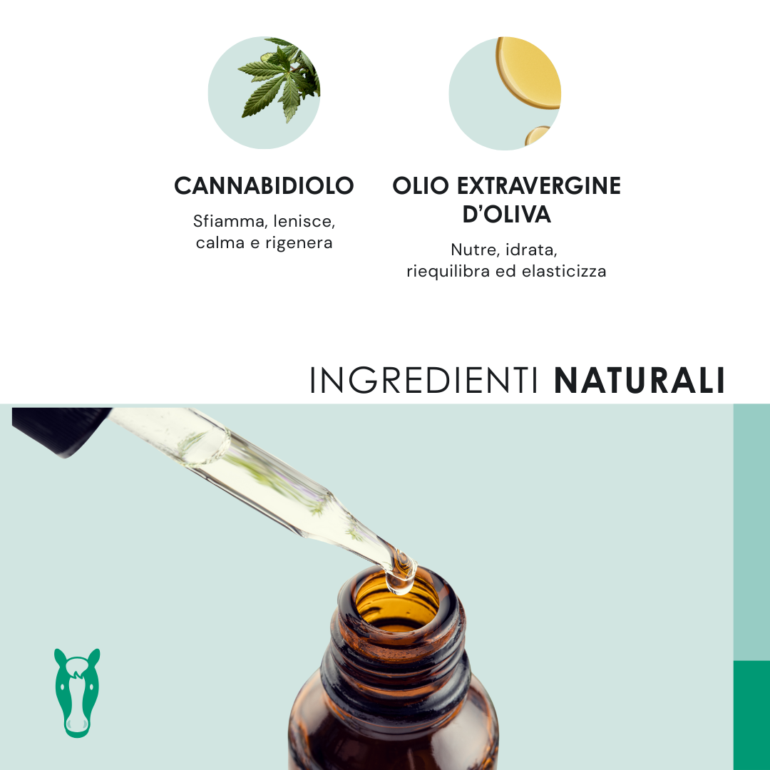 EU4HORSE - Olio Nutriente per Cavalli