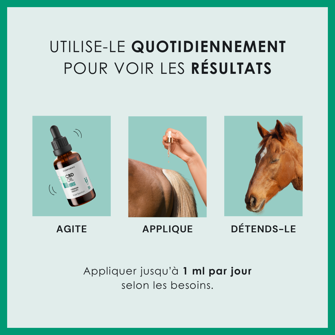 EU4HORSE - Huile Nourrissante pour Chevaux Riche en Vitamines pour le Bien-être et la Vitalité - 50 ml