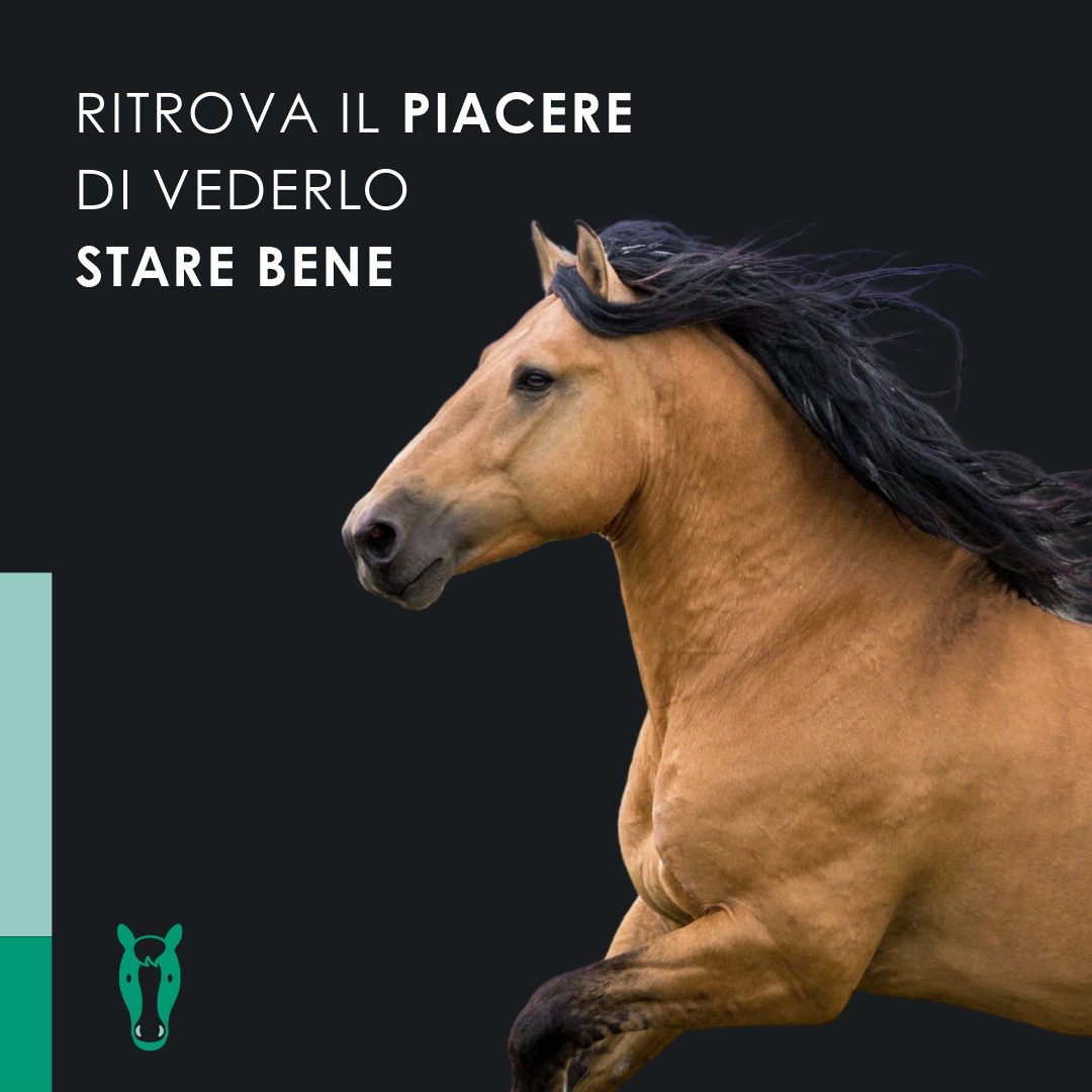 EU4HORSE - Olio Nutriente per Cavalli