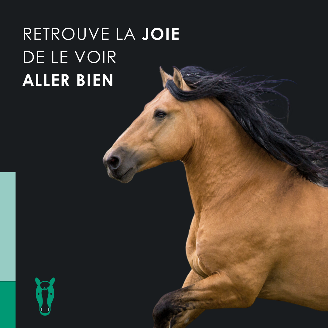 EU4HORSE - Huile Nourrissante pour Chevaux Riche en Vitamines pour le Bien-être et la Vitalité - 50 ml