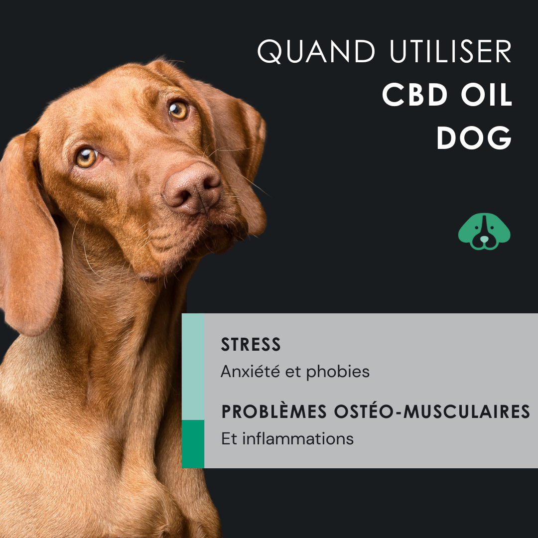 EU4DOG - Huile relaxante vitaminée pour chiens - 30 ml
