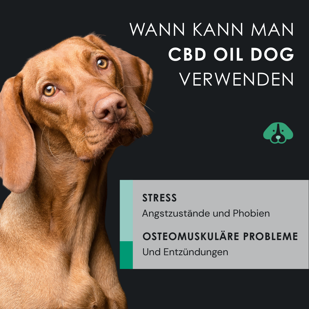 EU4DOG - Entspannungsöl für Hunde, reich an Vitaminen - 30 ml