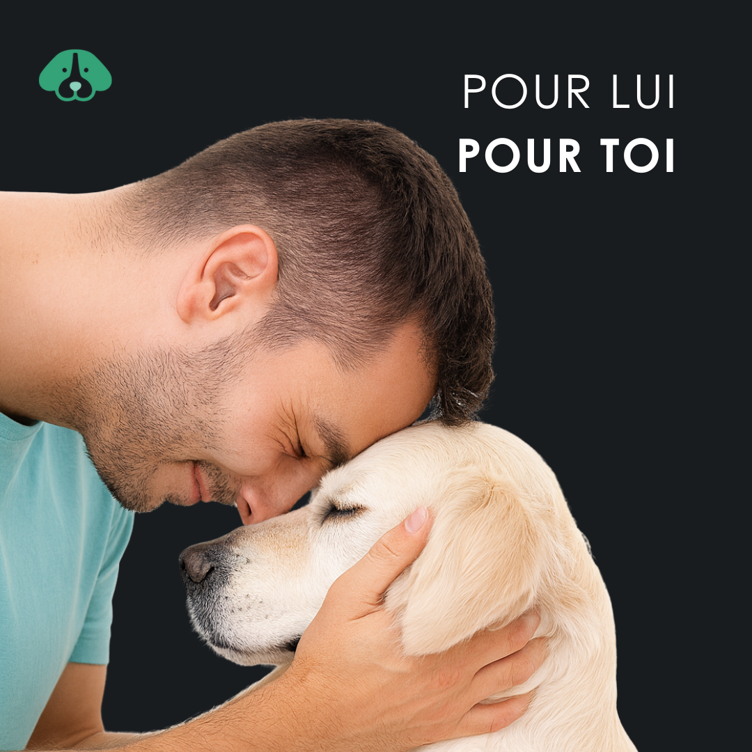 EU4DOG - Huile relaxante vitaminée pour chiens - 30 ml