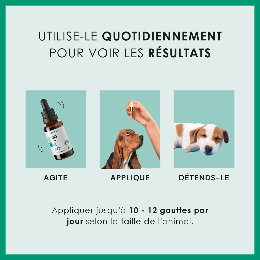 EU4DOG - Huile relaxante vitaminée pour chiens - 30 ml