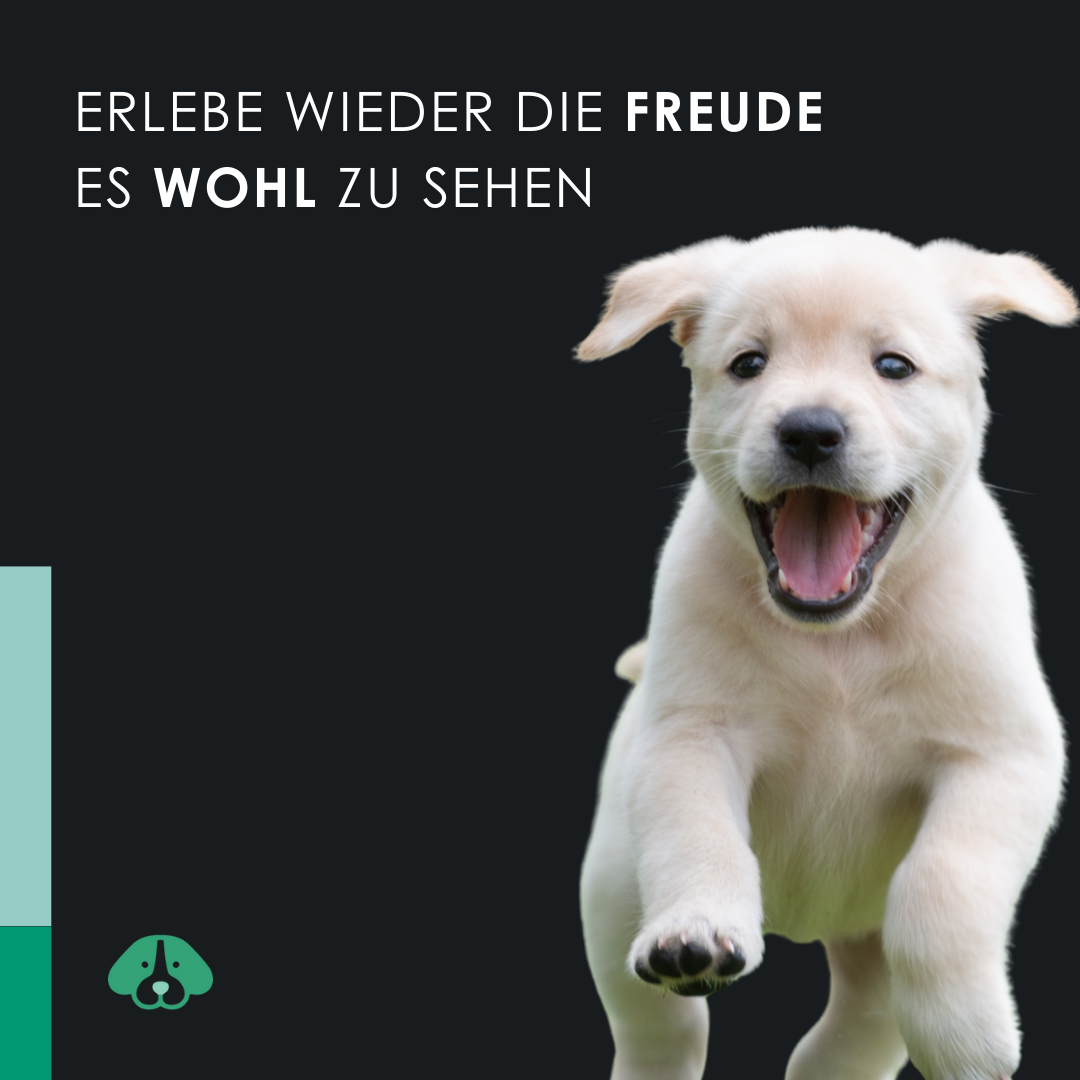 EU4DOG - Entspannungsöl für Hunde, reich an Vitaminen - 30 ml