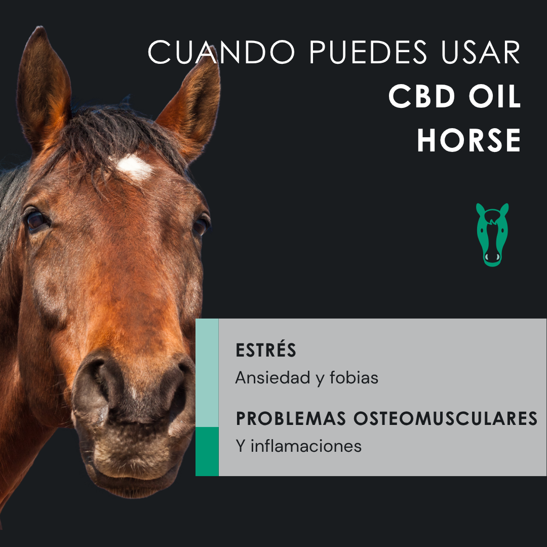 EU4HORSE - Aceite nutritivo para caballos rico en vitaminas para el bienestar y la vitalidad - 50 ml