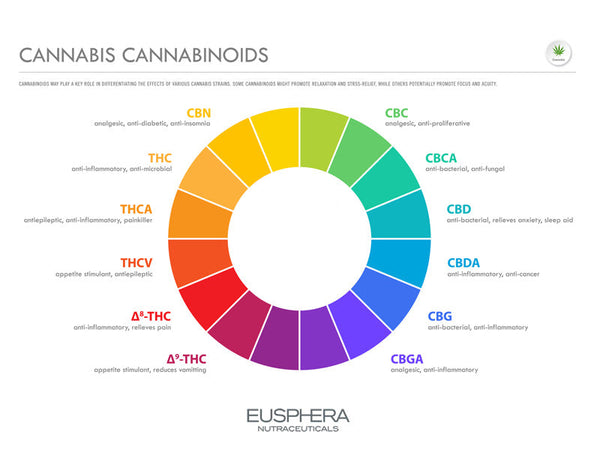 Cannabinoide: Was sie sind, Vorteile, Risiken, Anwendungen und Gesetzgebung in Italien