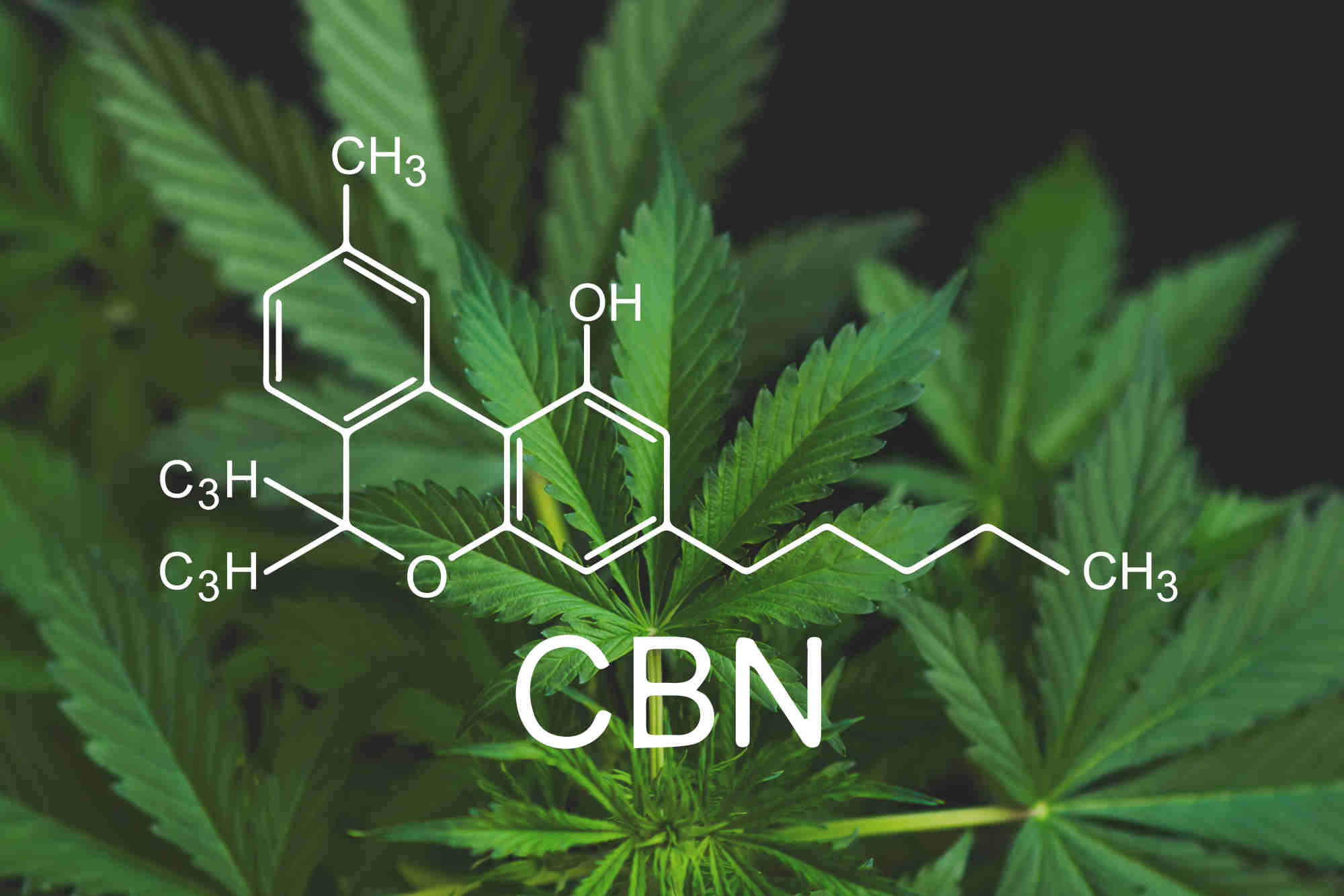 Rappresentazione in primo piano della struttura chimica del CBN, un cannabinoide presente nella cannabis, con foglie di canapa sullo sfondo.