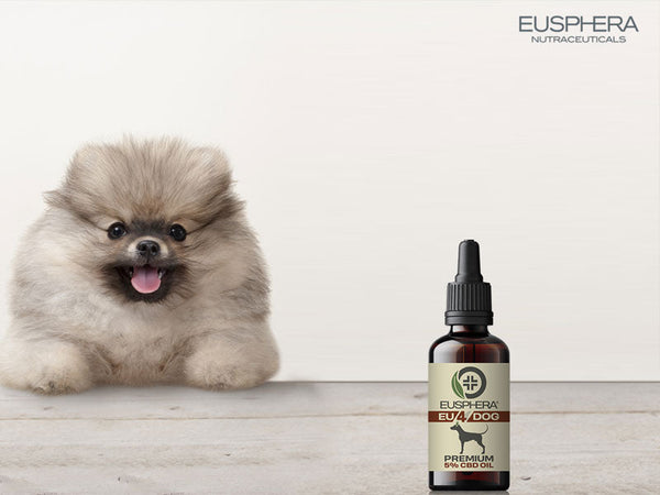 CBD-Dosierung für Hunde
