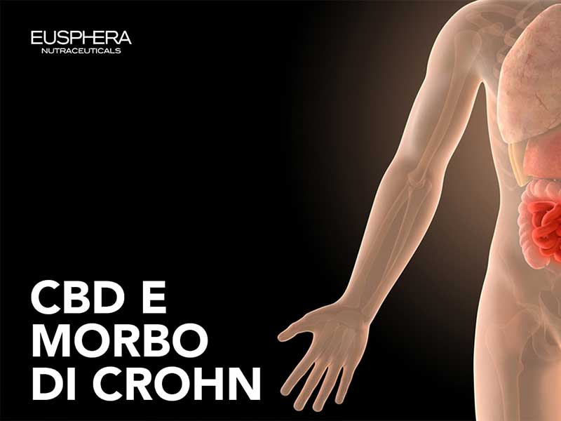 CBD e Morbo di Chron