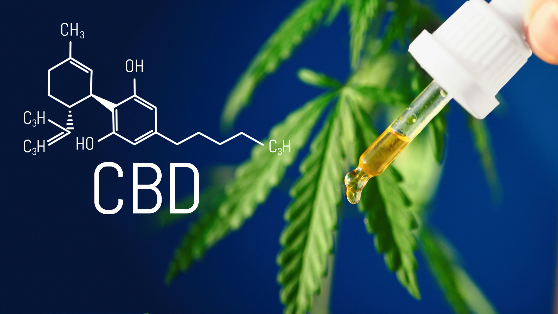 CBD: cos' è, proprietà, come usarlo