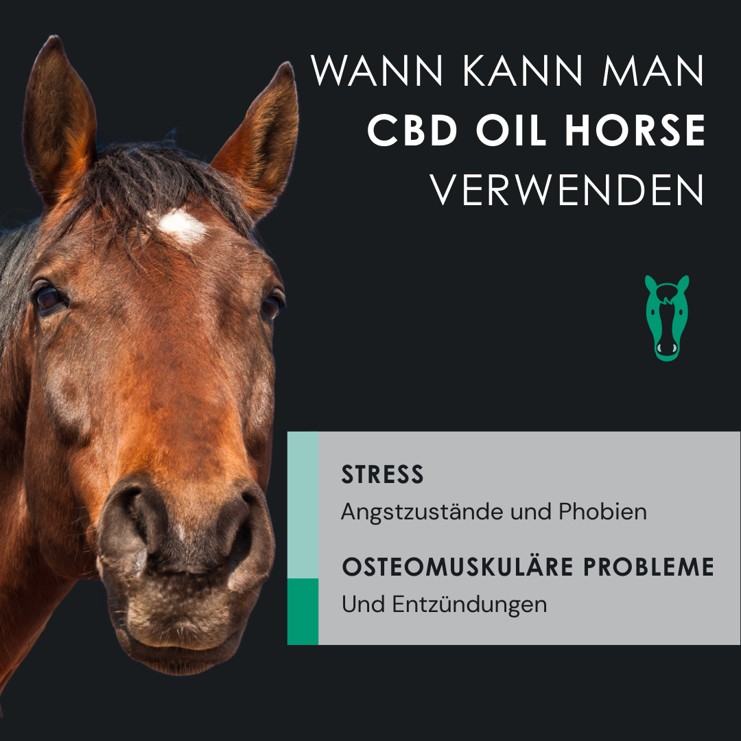EU4HORSE - Nähröl für Pferde, reich an Vitaminen für Wohlbefinden und Vitalität - 50 ml
