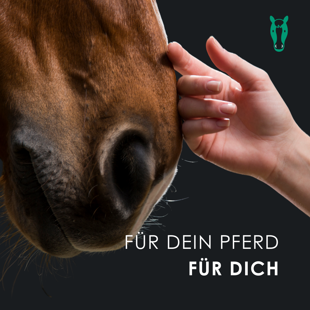 EU4HORSE - Nähröl für Pferde, reich an Vitaminen für Wohlbefinden und Vitalität - 50 ml