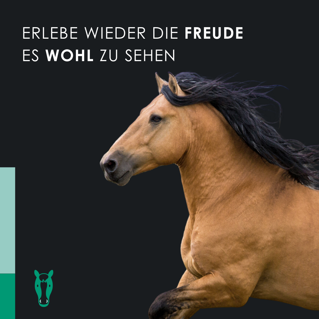 EU4HORSE - Nähröl für Pferde, reich an Vitaminen für Wohlbefinden und Vitalität - 50 ml