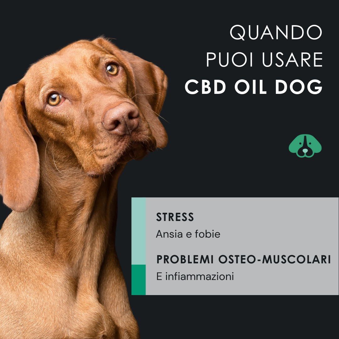 EU4DOG - Olio rilassante per cani ricco di vitamine