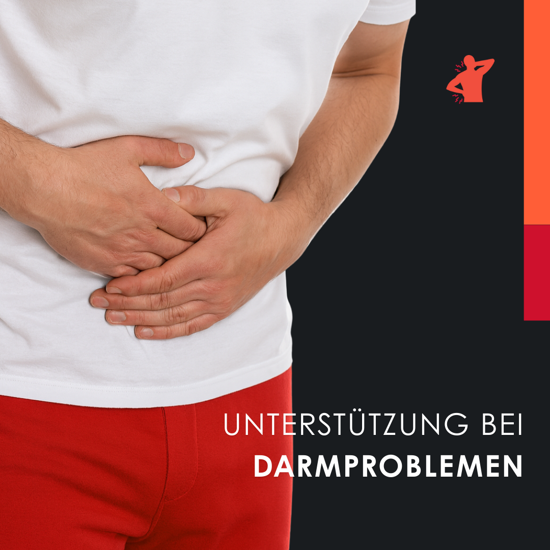 EU4DOL PLUS - Natürliches Ergänzungsmittel für Knochen und Gelenke mit Boswellia Serrata und PEA - 30 Kapseln