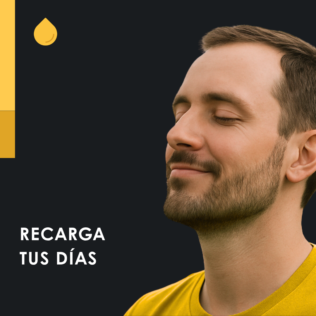 HEMP EXTRACT 10% - Aceite CBD Natural para la relajación y el sueño - 10 ml-8640365527387
