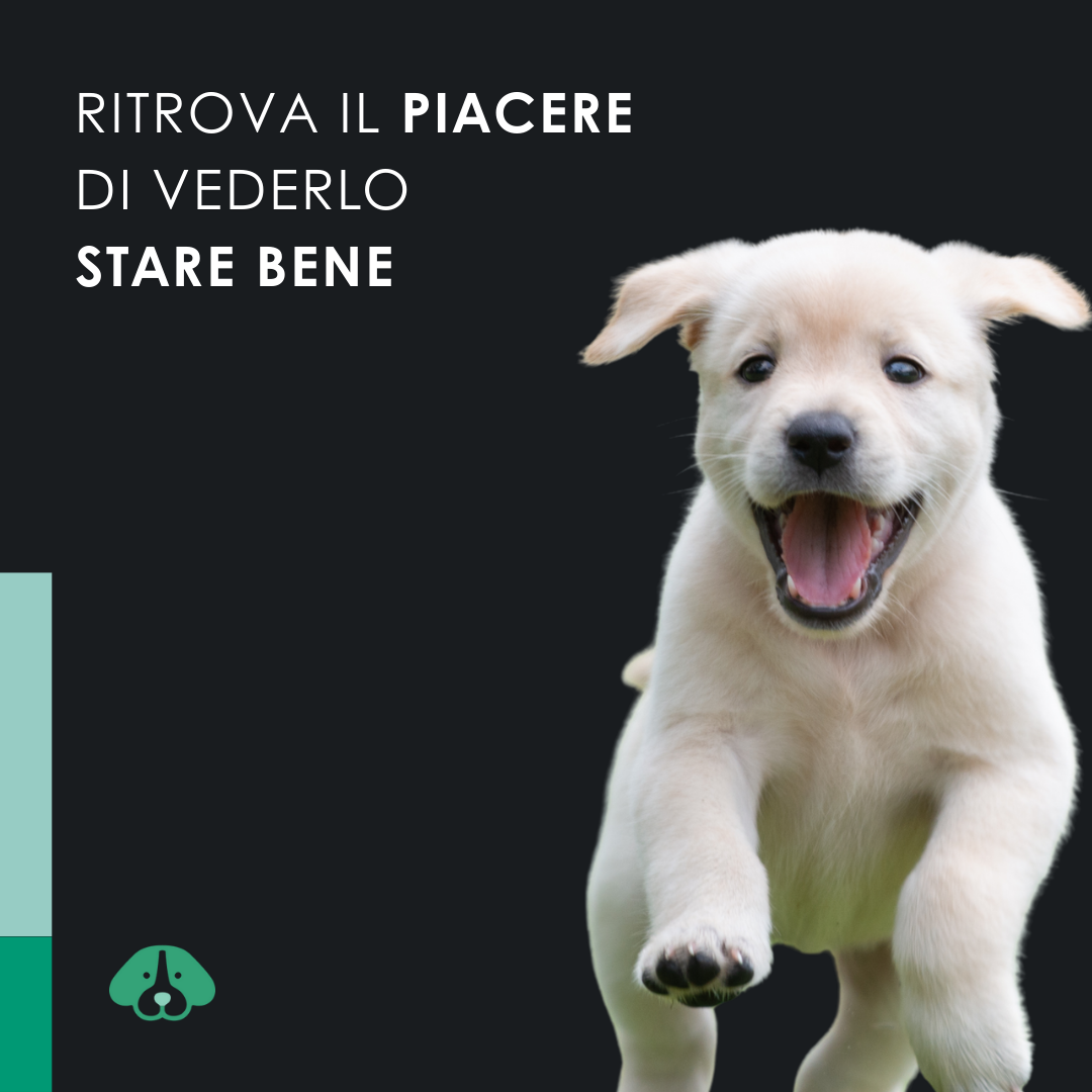 EU4DOG - Olio rilassante per cani ricco di vitamine