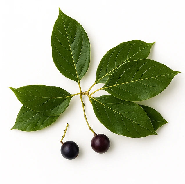 natural product