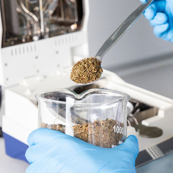 L’eccellenza della cosmetica al CBD